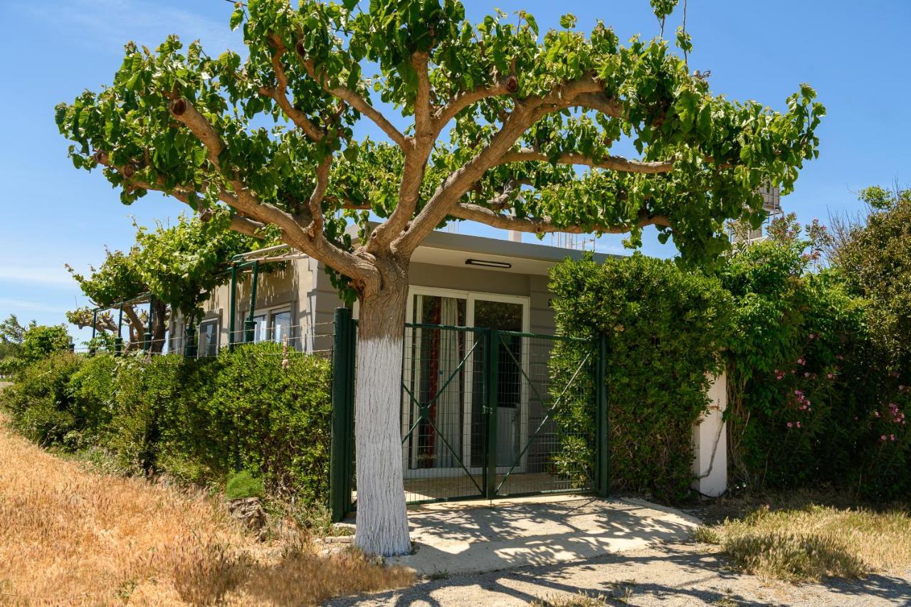 Petrakis Afrathias Garden House Villa Kalamaki  Exterior foto